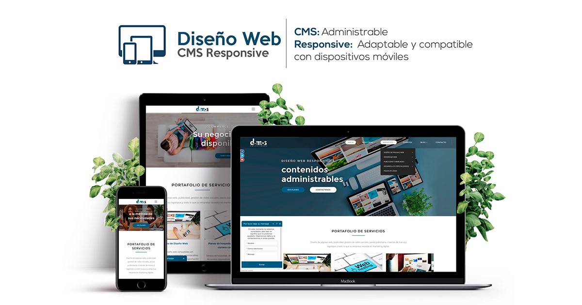 Planes Desarrollo Web
